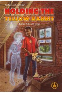 Holding the Yellow Rabbit