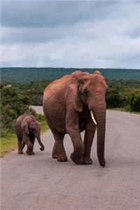 Elephant Mama and Baby Crossing the Road Journal