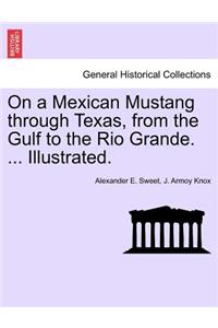 On a Mexican Mustang through Texas, from the Gulf to the Rio Grande. ... Illustrated.