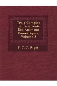 Trait Complet de L'Anatomie Des Animaux Domestiques, Volume 3