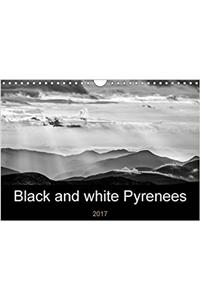 Black and White Pyrenees 2017