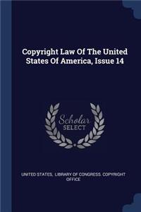 Copyright Law Of The United States Of America, Issue 14