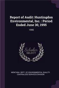 Report of Audit