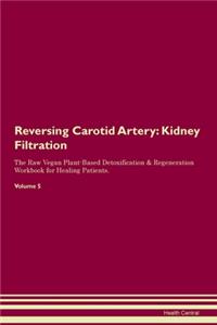 Reversing Carotid Artery
