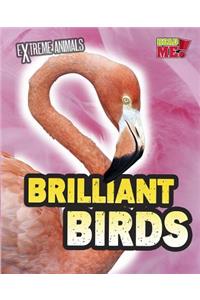 Brilliant Birds