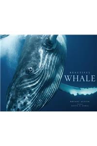 Beautiful Whale