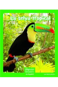 La Selva Tropical
