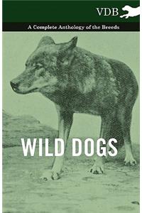 Wild Dogs - A Complete Anthology of the Breeds