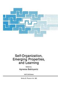 Self-Organization, Emerging Properties, and Learning