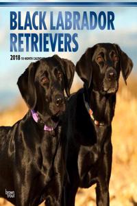 Labrador Retrievers, Black 2018 Wall Calendar