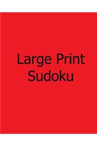 Large Print Sudoku