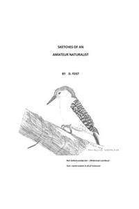Sketches of an Amateur Naturalist