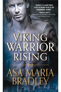 Viking Warrior Rising