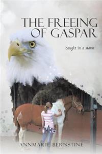 Freeing of Gaspar