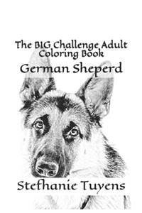 BIG Challenge Adult Coloring Book