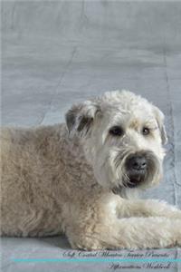 Soft Coated Wheaten Terrier Affirmations Workbook Soft Coated Wheaten Terrier Presents: Positive and Loving Affirmations Workbook. Includes: Mentoring Questions, Guidance, Supporting You.