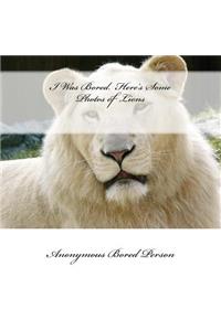 I Was Bored. Here's Some Photos of Lions