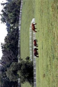 Rural Kentucky Journal