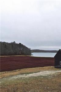 Cranberry Bog Journal