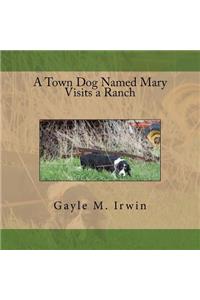 A Town Dog Named Mary Visits a Ranch