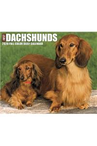 Just Dachshunds 2020 Box Calendar (Dog Breed Calendar)