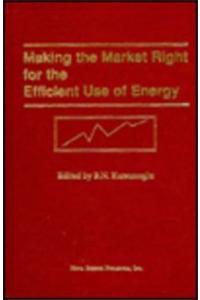 Making the Market Right for the Efficient Use of Energy