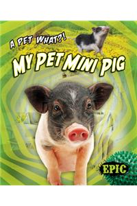 My Pet Mini Pig
