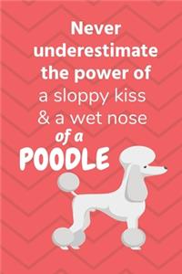 Never underestimate the power of a sloppy kiss & a wet nose of a Poodle
