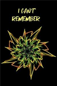 I Can't Remember