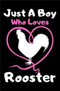 Just a boy who loves rooster