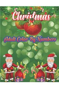 Christmas Adult Color By Numbers