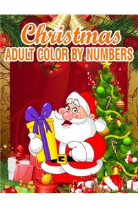 Christmas Adult Color By Numbers