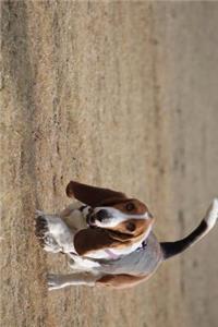 Cute Basset Hound Dog Taking a Stroll Journal