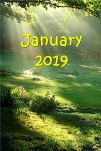 January 2019 Monthly Planner Heavenly Light Sun Rays
