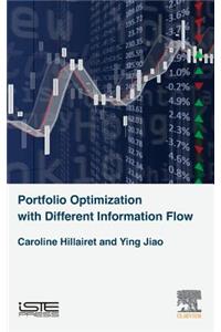 Portfolio Optimization with Different Information Flow