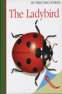 Ladybird