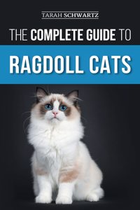 Complete Guide to Ragdoll Cats