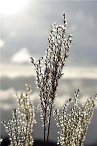 Meadow Grass in Autumn Journal