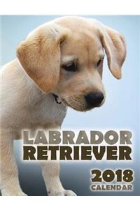 Labrador Retriever 2018 Calendar (UK Edition)