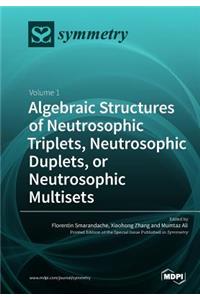 Algebraic Structures of Neutrosophic Triplets, Neutrosophic Duplets, or Neutrosophic Multisets