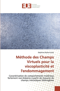 Méthode des Champs Virtuels pour la viscoplasticité et l'endommagement