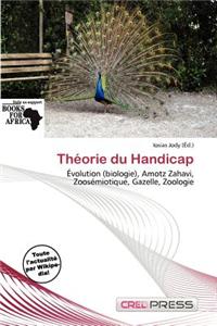 Th Orie Du Handicap