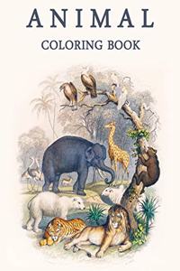 Animal coloring book