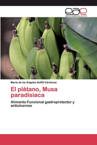 plátano, Musa paradisiaca