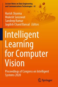 Intelligent Learning for Computer Vision