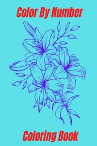 Color by Number Coloring Book