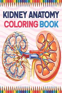 Kidney Anatomy Coloring Book