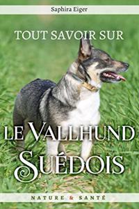 Tout Savoir sur le Vallhund Suedois