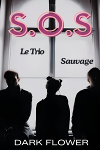 S.O.S (Le Trio Sauvage)