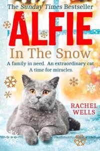 Alfie in the Snow (Alfie Series, Book 5)